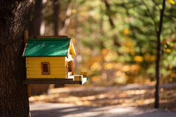 Yellow birdhouse on a spruce tree against the backdrop of an autumn forest.