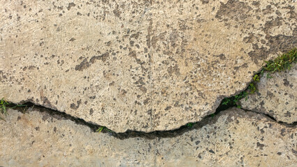 cracked road with weed or moss growing on them