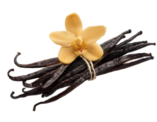 Vanilla pods with vanilla flower blossom, isolated image with transparent background