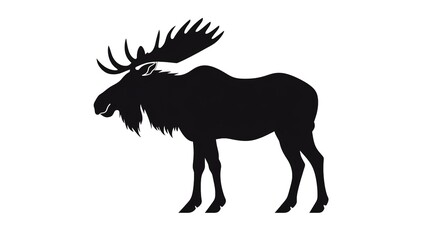 Moose silhouette silhouette, black color silhouette solid white background 