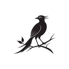 Illustration with silhouettes of four bird