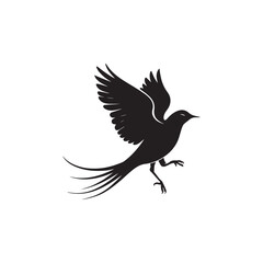 Illustration with silhouettes of four bird
