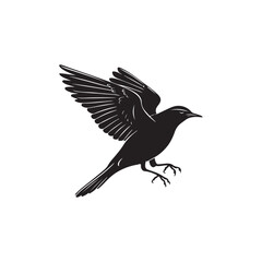 Illustration with silhouettes of four bird