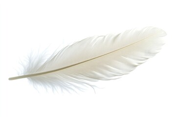 Obraz premium On a white background, a white feather is isolated. Generative Ai