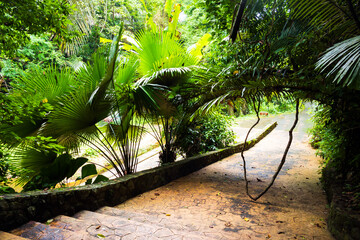 Ton Sai tropical Waterfall in Phuket Thailand