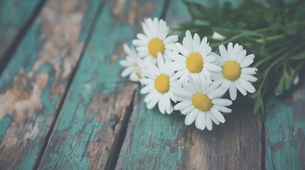 Obraz premium White Daisies on Rustic Wooden Background - Floral Photography