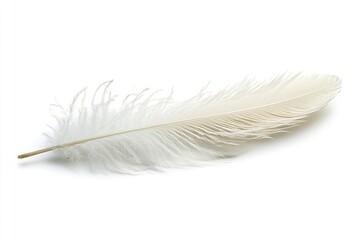 Obraz premium On a white background, a white feather is isolated. Generative Ai