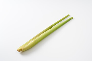 マコモダケ（真菰筍）イメージ