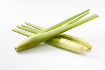 マコモダケ（真菰筍）イメージ