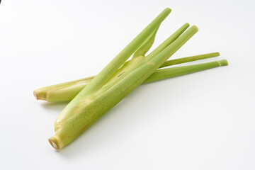 マコモダケ（真菰筍）イメージ