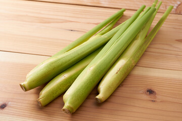 マコモダケ（真菰筍）イメージ