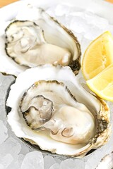 Freshly shucked oysters on ice, garnished with a lemon wedge