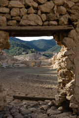 Ruins of a swamp. Swamp at very low water levels due to lack of rain