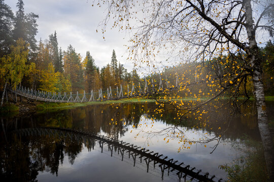 suspension bridge in the autumn forest, Oulanka national park, Finland