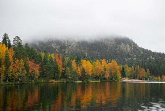 autumn landscape with yellow forest, Oulanka National park, Finland