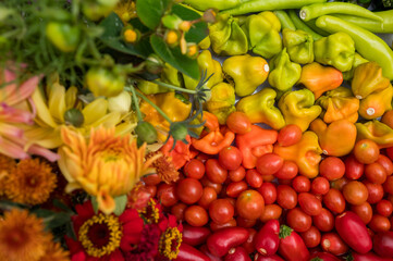 Rainbow hued florals and vegetables