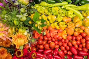 Handpicked colorful vegetables and flowers arranged in rainbow hue
