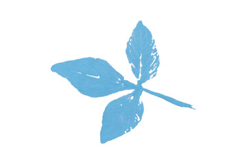 Light blue watercolor background. Artistic hand paint. Isolated on transparent background.
