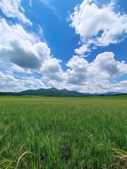 Fototapeta premium Mountainous landscape with green meadow