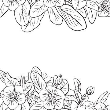 Frame of catharanthus flowers, floral arrangement with leaves as border for design. Periwinkle flower. Vector illustration