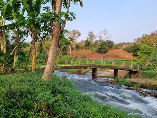 Fototapeta premium wooden bridge over river