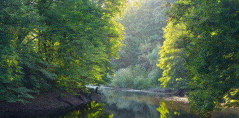 Dense deciduous forest around the lake. Early autumn. Kitayevo recreation zone. Kyiv. Ukraine.
