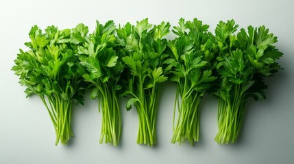 Fototapeta premium Five Bunches of Fresh Parsley