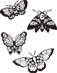 butterfly, beauty, flying, bug, animal, butterflies vectors design 