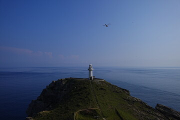 孤島の灯台を見下ろす蜻蛉