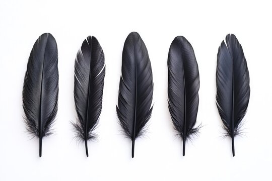 Black Feathers on White Surface