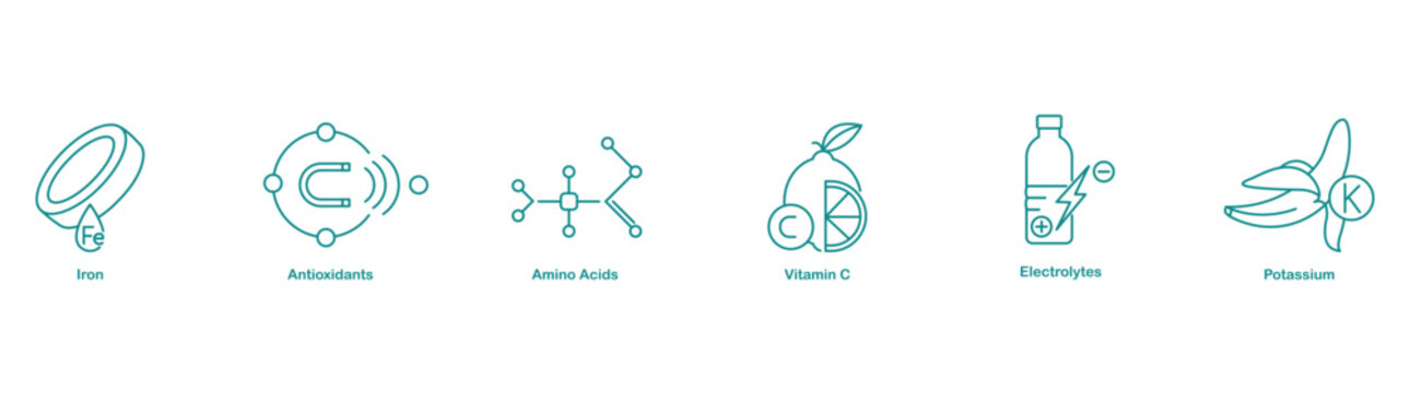 Iron, Antioxidants, Amino Acids, Vitamin C, Electrolytes, and Potassium Icons for Health Support