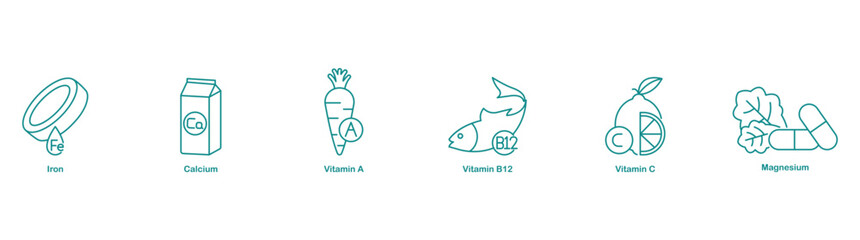 Iron, Calcium, Vitamin A, Vitamin B12, Vitamin C, and Magnesium Icons for Comprehensive Nutrition