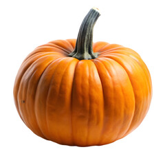 Obraz premium pumpkin isolated on transparent background