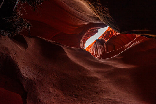 Serene view of glowing red sandstone curves in Antelope Canyon.
