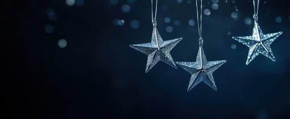 The Shimmering Hanging Star Ornaments