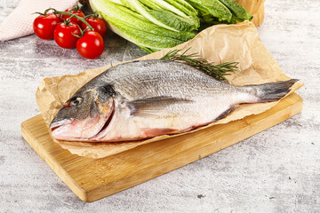 Raw dorada fish served rosemary