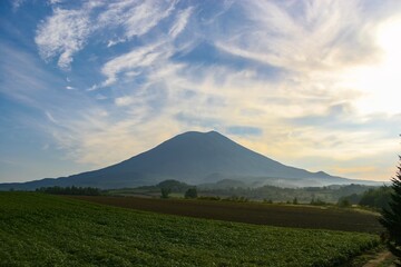 Fototapeta premium 朝日に染まる羊蹄山