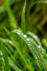 Spaziergang durch den Südwesthang des Thüringer Waldes bei Schmalkalden bei einem nassen Herbstwetter - Thüringen - Deutschland