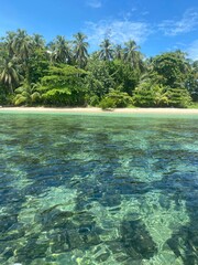 tropical paradise island