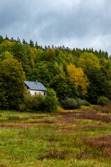 Obraz premium Spaziergang durch den Südwesthang des Thüringer Waldes bei Schmalkalden bei einem nassen Herbstwetter - Thüringen - Deutschland