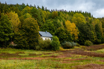 Obraz premium Spaziergang durch den Südwesthang des Thüringer Waldes bei Schmalkalden bei einem nassen Herbstwetter - Thüringen - Deutschland