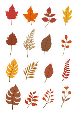 Autumn leaves illustration, fallen leaves featuring various shapes and colors, including orange, red, yellow, and brown leaves Flat vector illustration on white background.