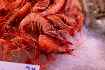 Fresh red prawns on ice for sale at Ciutadella market in Menorca, Spain