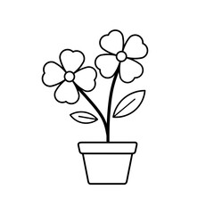 flower in a pot