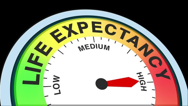 Life Expectancy Level Text or Word Low and Medium to High Meter Concept Animation on Black Background and Blue Screen