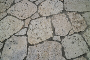 白い石垣の地面