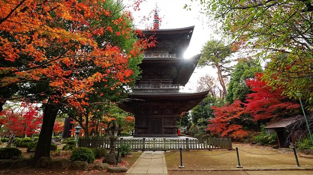 Autumn leaves and Three-storied pagoda of Gotokuji temple Tokyo 