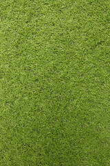 Fototapeta premium Green Artificial Grass, Artificial grass field