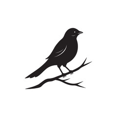 Natural Bird Silhouette Design 