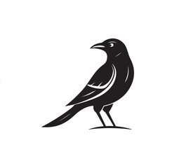 Obraz premium Natural Bird Silhouette Design 